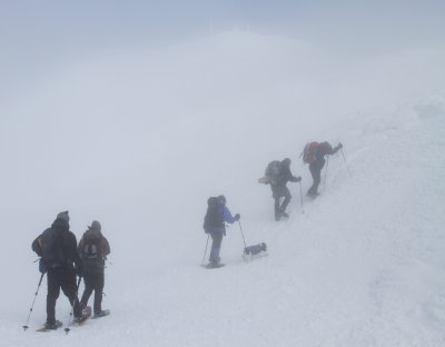 We started up the Crawford Path. Carl did an amazing job of leading us up, then down through the fog and clouds.