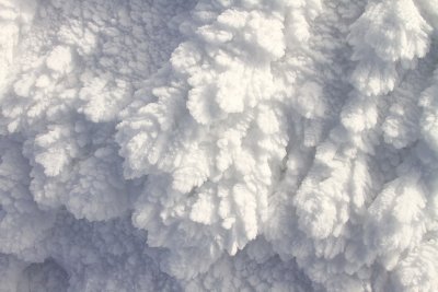 Feathers of ice coated everything.