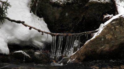A Foggy Hike to Mt. Liberty & Mt. Flume, 1/27/10
