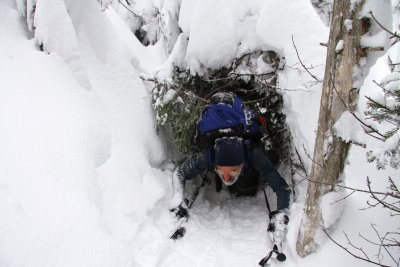 A little flexibility and creativity was needed to get through some obstructed trails.