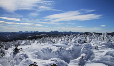 Wind sculpted snow
