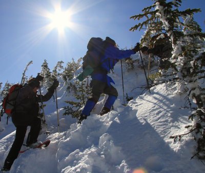 The bushwack went down into a valley, then up the other side.