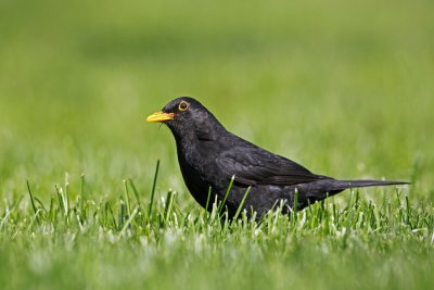 _MG_3086.jpg