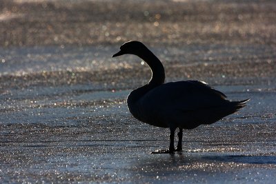 IMG_8850.jpg