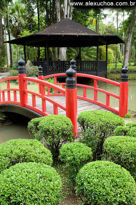 Jardim Botanico, Rio de Janeiro 6238