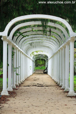 Jardim Botanico, Rio de Janeiro 6257.jpg