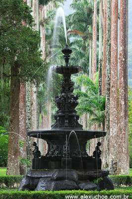 Jardim Botanico, Rio de Janeiro 6259.jpg