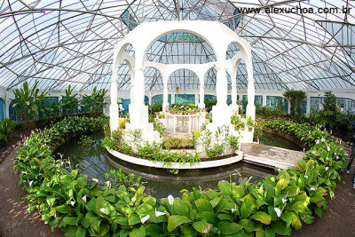 Orquidrio, Jardim Botanico, Rio de Janeiro 9828