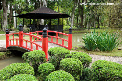 Jardim Botnico, Rio de Janeiro, RJ 6240.jpg