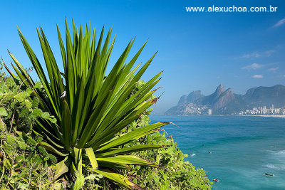Ipanema, Rio de Janeiro 9973.jpg