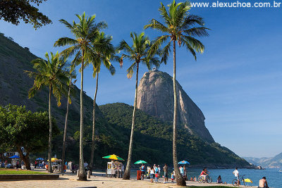 Praia Vermelha, Rio de Janeiro 9480.jpg