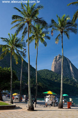 Praia Vermelha, Rio de Janeiro 9483.jpg
