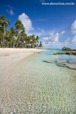 Praia dos Carneiros, Rio Formoso, Pernambuco 9510.jpg