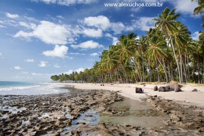 Praia dos Carneiros, Rio Formoso, Pernambuco 9475.jpg