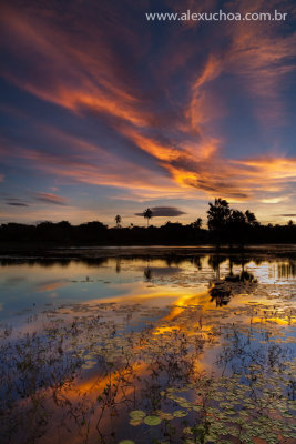 Rio Coacu, Eusebio, Ceara_6447