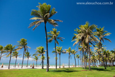 Beach Park, Aquiraz, Ceara, julho 2009_6473.jpg