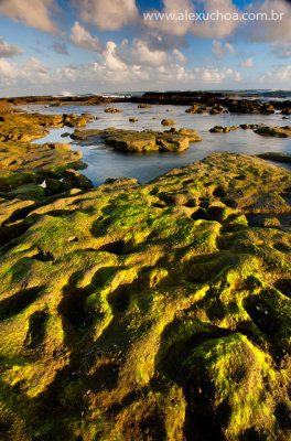 Praia da Caponga, Cascavel, Ceara, 1922, nov09.jpg