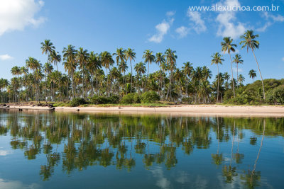 Rio Camaragibe, Barra do Camaragibe, Alagoas_8999-2.jpg