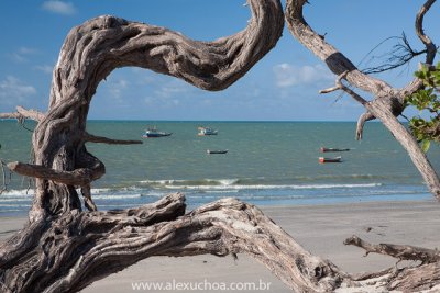 Praia da Barrinha, Acarau, Ceara 007