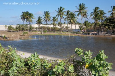 Praia da Barrinha, Acarau, Ceara 014 091024.jpg