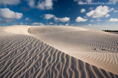 Praia da Barrinha, Acarau, Ceara 029