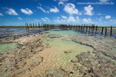 Curral de Peixe, Praia das flexieiras, Ceara, Brazil, 09, 18dez09-2.jpg