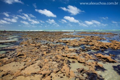 Praia das flexieiras, Ceara, Brazil, 09, 18dez09-3.jpg