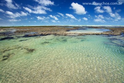 Praia das flexieiras, Ceara, Brazil, 09, 18dez09.jpg