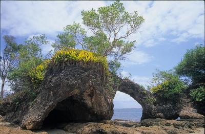 Ilha da Pedra furada, Baa de Camamu, Mara