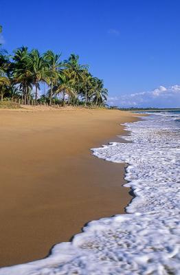 The classic tropical beach - Península de Maraú, Bahia