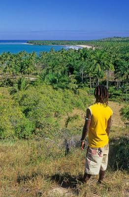 Panormica da Ilha de Boipeba vertical - Praia da cueira