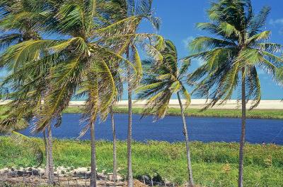 lagoa do batoque2.jpg