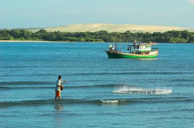 TerraBrasilis_DSC6417-01.jpg