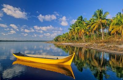 Lagoa do Cassengue coqueiral.jpg