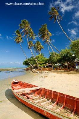 Praia principal, Jericoacoara  6167