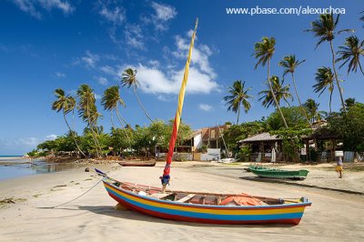 Praia principal, Jericoacoara  6168