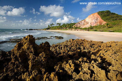 Praia de Tambaba (rea naturista), Jacum, PB_9252
