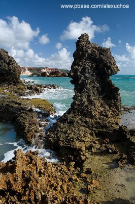 Praia de Tambaba, Jacum, PB_9321