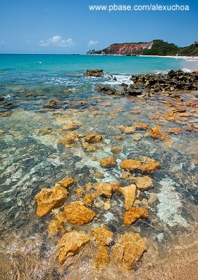 Praia de Tabatinga, Jacum, PB_8996