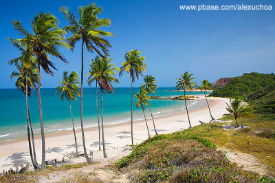 Praia de Tabatinga, Jacum, PB_9073