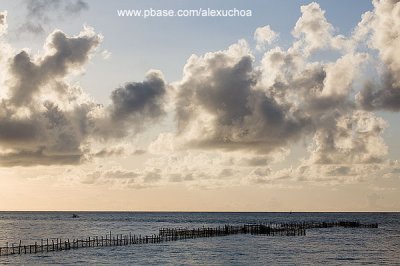 Barra do Camaragibe, São Miguel dos Milagres- AL 9137-2