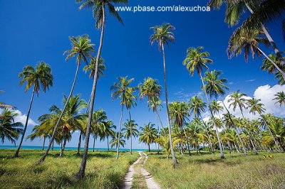 Praia do Morro, Barra do Camaragibe, So Miguel dos Milagres- AL  9024-2