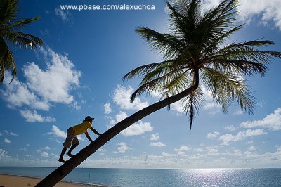 Praia do Patacho, So Miguel dos Milagres- AL 9208-2