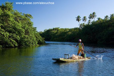 Rio Tatuamunha, So Miguel dos Milagres,  AL  8944-2