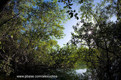 Rio Tatuamunha, So Miguel dos Milagres- AL  8921-2