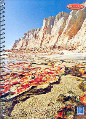 Capa Sulamericana de Cadernos Coleção 2006