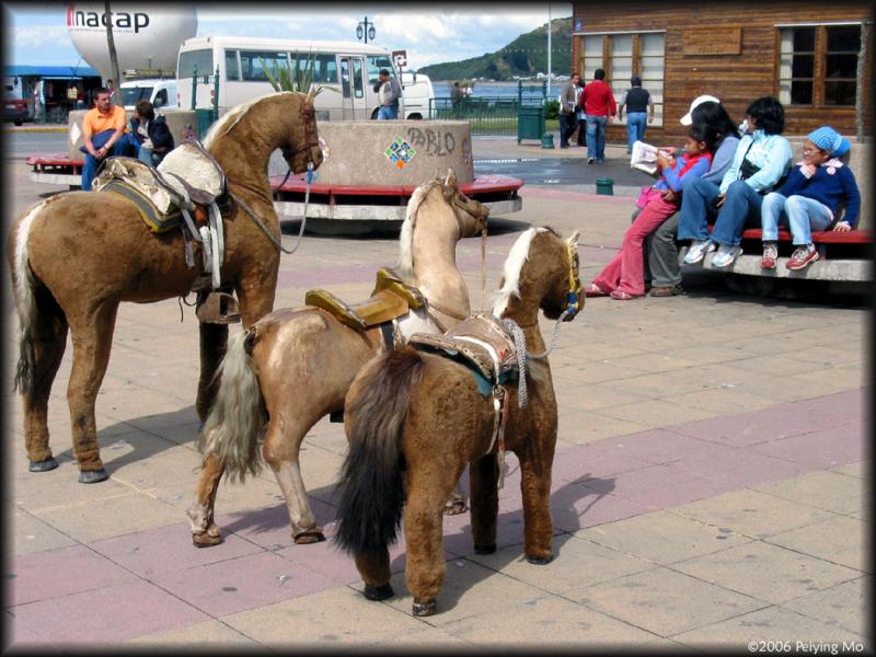 Fake but cute ponies for those who fear of riding the real ones.