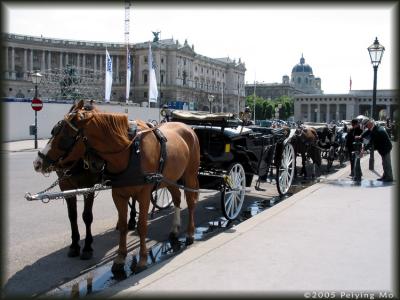 Horse carts are waiting for tourists