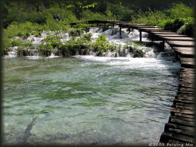 It is this kind of wooden paths that take us close to the water