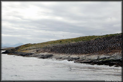 g3/11/16011/3/56889744.DSC_0174.jpg